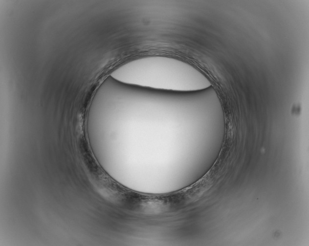 X0000091170598200708091025