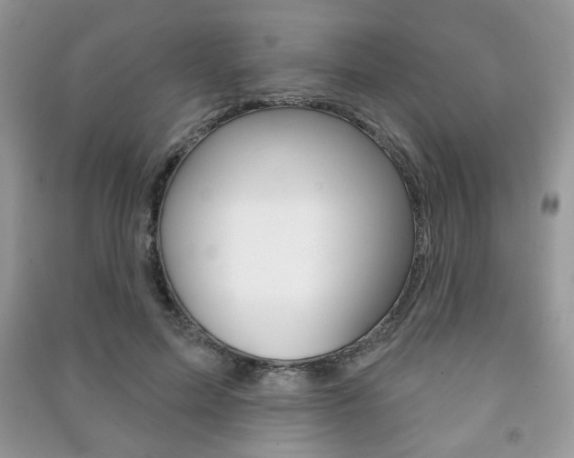 X0000091170599200708091025