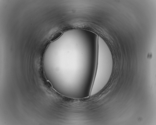 X0000091170600200708091025