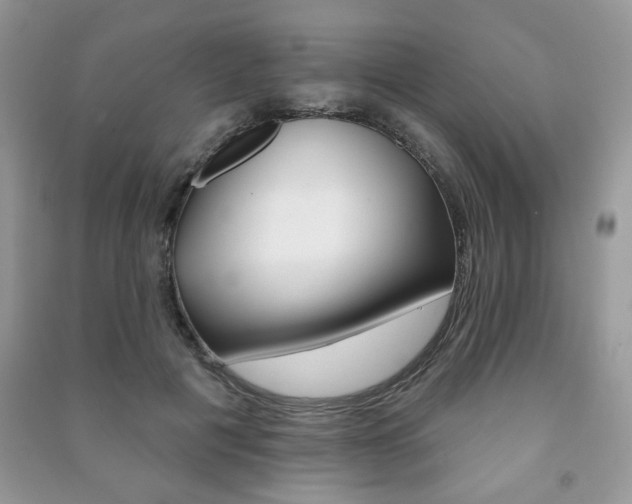 X0000091170601200708091025