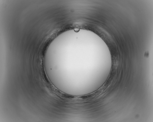 X0000091170603200708091025