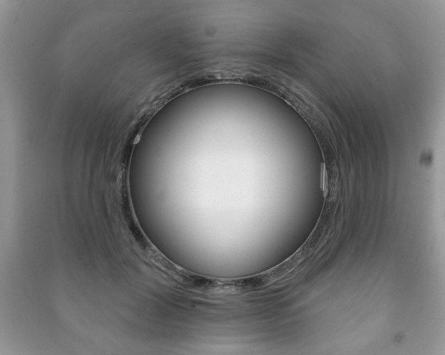 X0000091170604200708091025