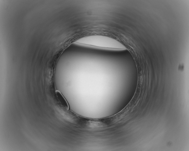 X0000091170605200708091025