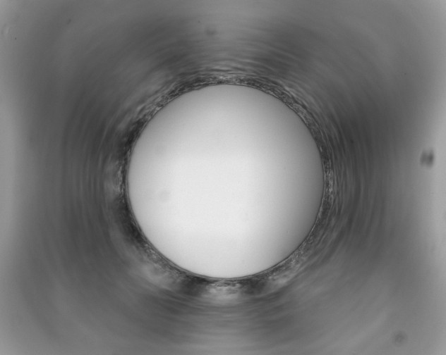 X0000091170606200708091025
