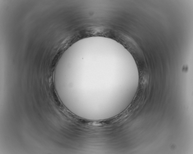 X0000091170607200708091025