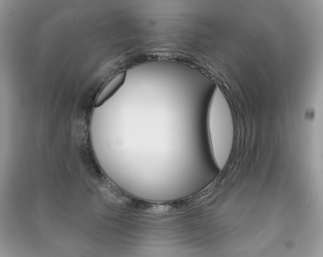 X0000091170609200708091025