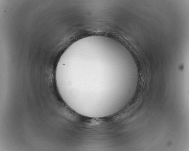 X0000091170612200708091025
