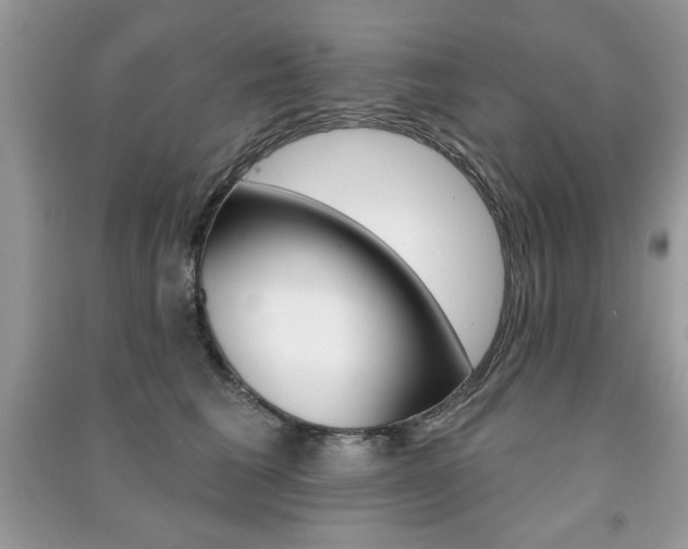 X0000091170613200708091025