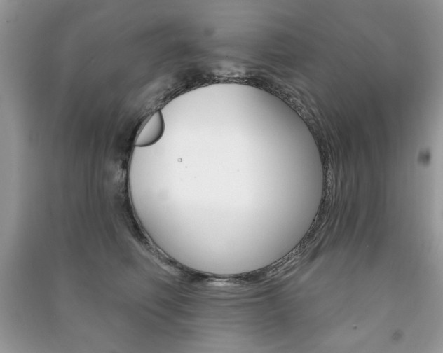 X0000091170614200708091025