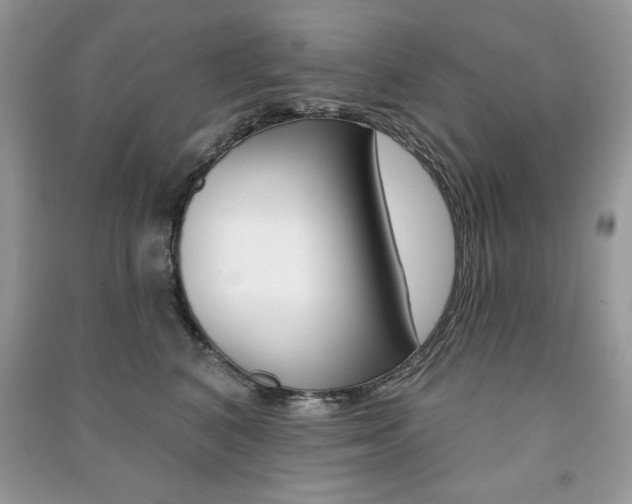 X0000091170616200708091025