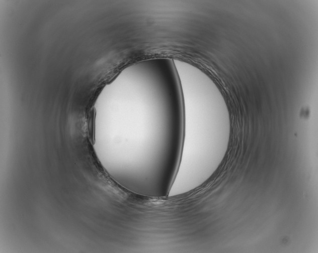 X0000091170617200708091025