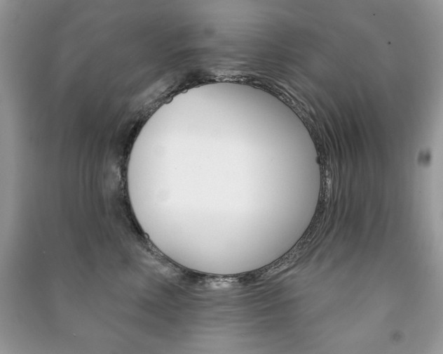 X0000091170618200708091025