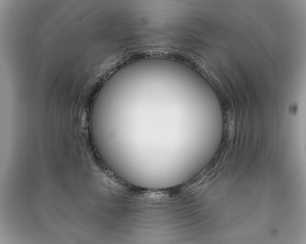 X0000091170619200708091025