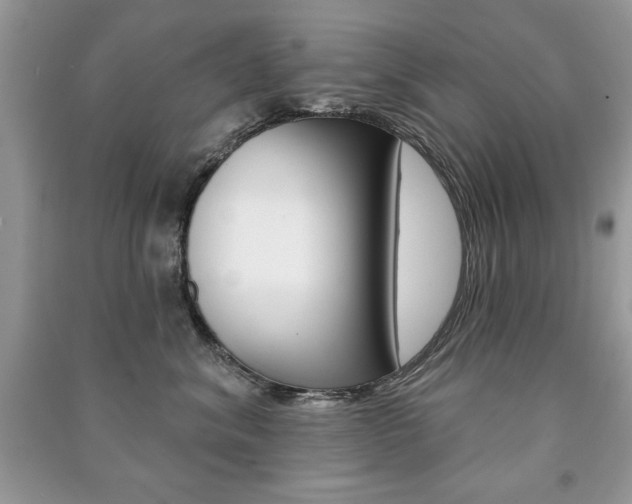 X0000091170620200708091025