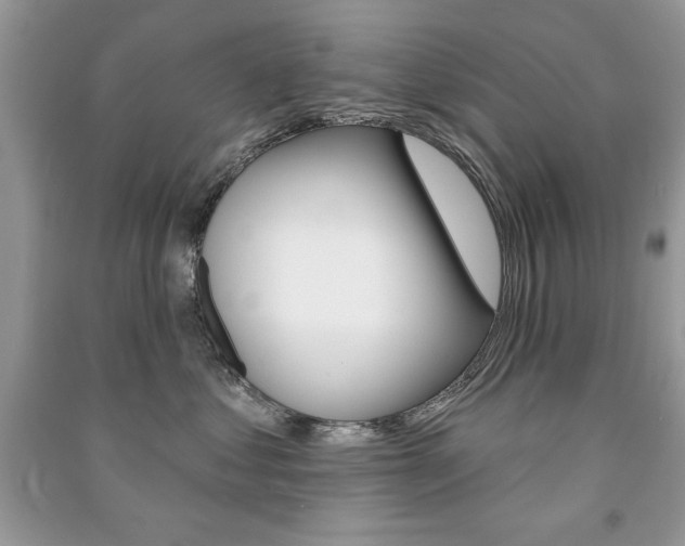 X0000091170621200708091025