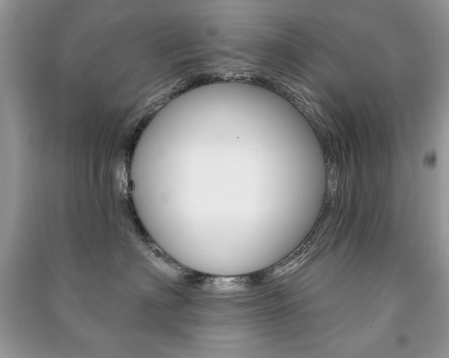 X0000091170622200708091025