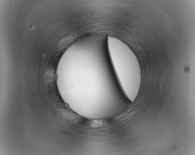 X0000091170623200708091025