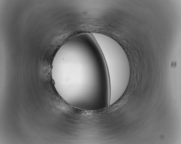 X0000091170624200708091025