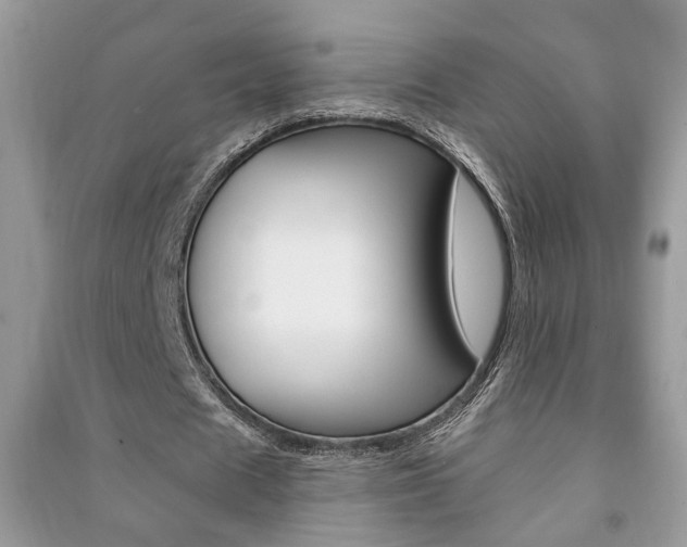 X0000091170625200708091024