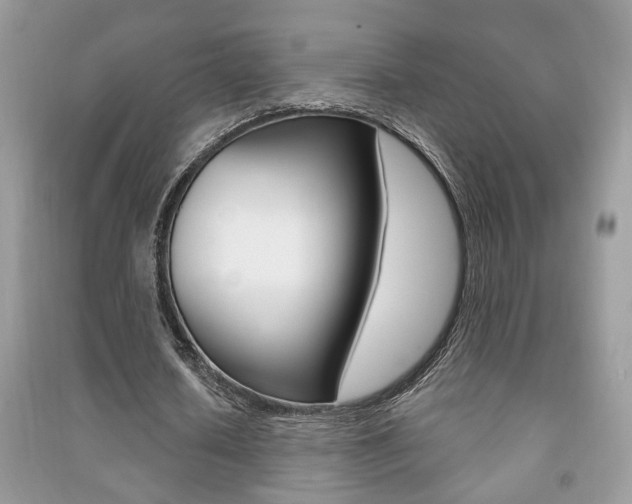 X0000091170626200708091024