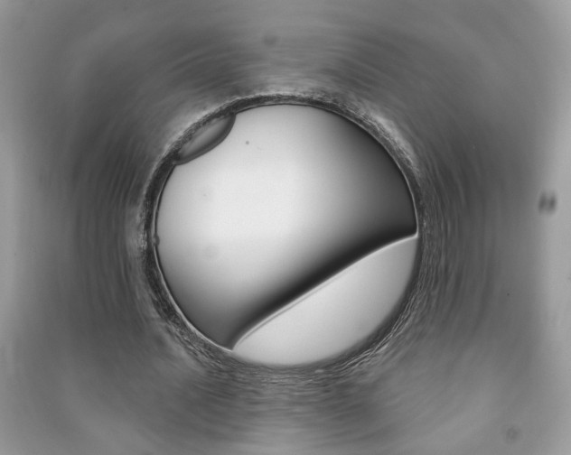 X0000091170628200708091024