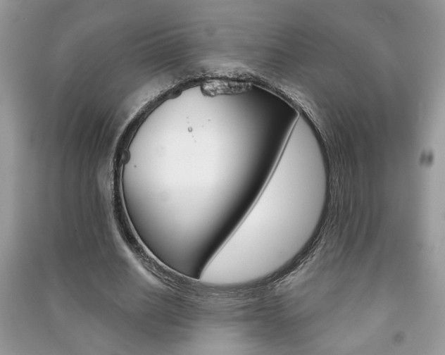 X0000091170630200708091024