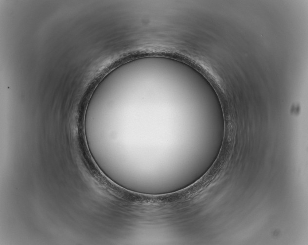 X0000091170631200708091024