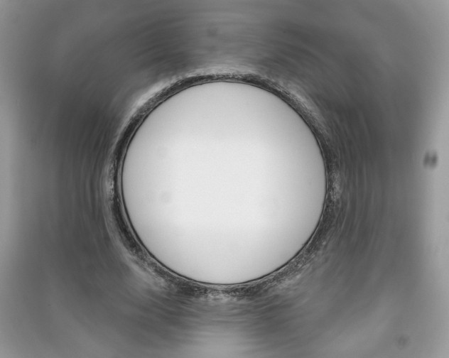 X0000091170632200708091024