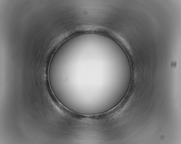 X0000091170633200708091024