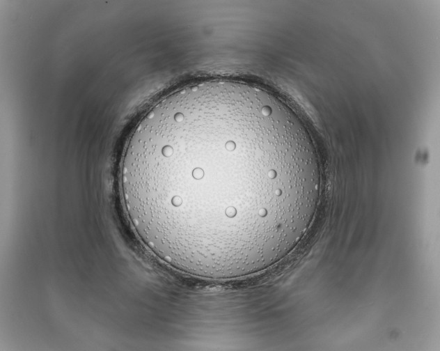 X0000091170635200708091024