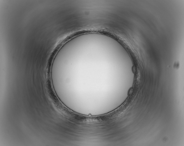 X0000091170636200708091024