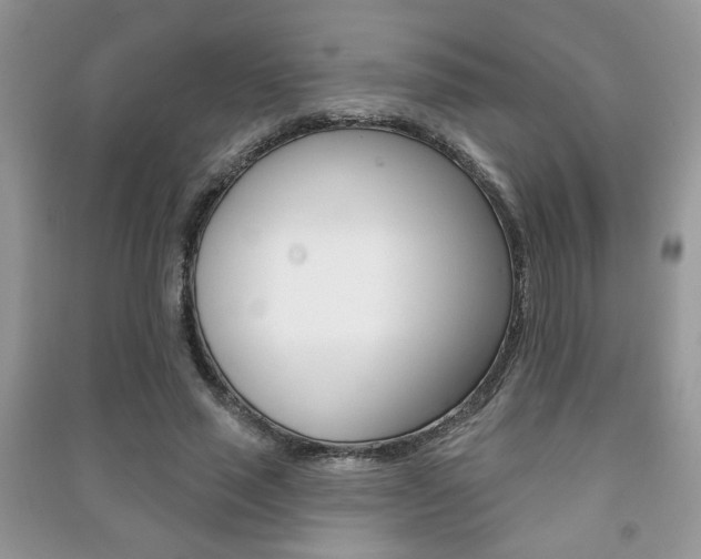 X0000091170637200708091024