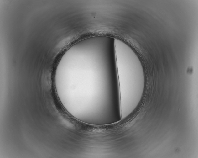 X0000091170638200708091024