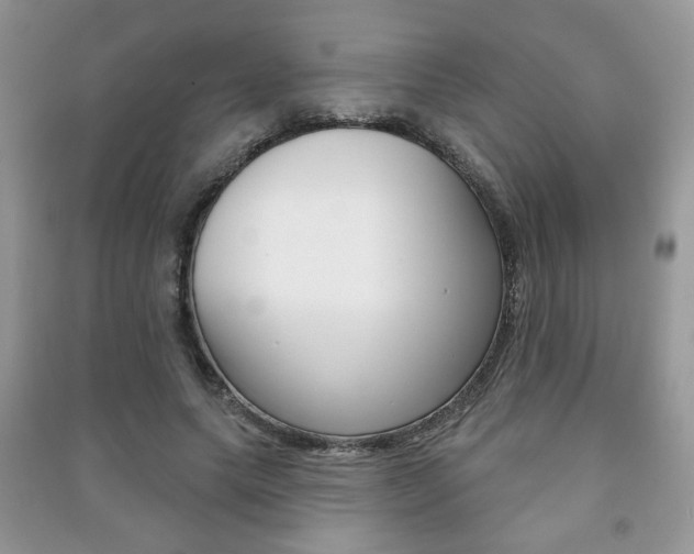 X0000091170639200708091025