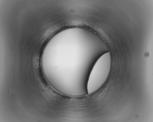 X0000091170640200708091025