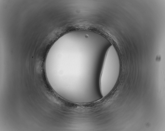 X0000091170641200708091025
