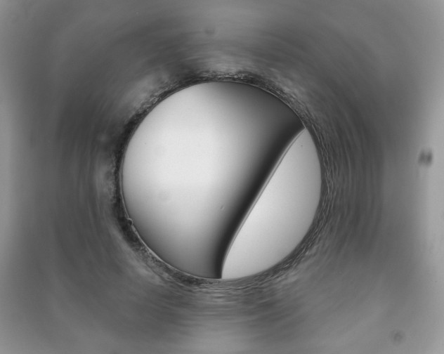 X0000091170642200708091025