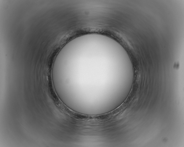 X0000091170643200708091025
