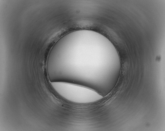 X0000091170644200708091025