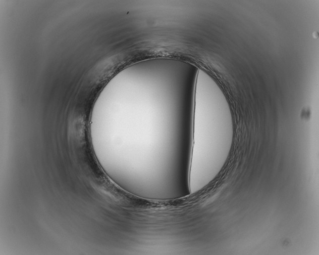 X0000091170646200708091025