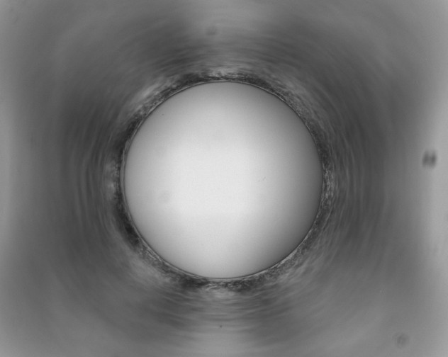 X0000091170648200708091025