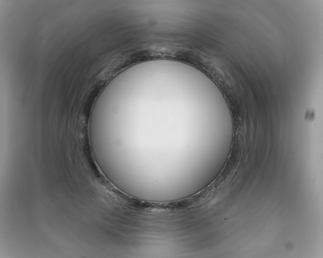 X0000091170649200708091025