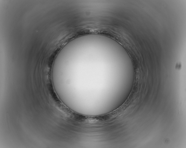 X0000091170650200708091025