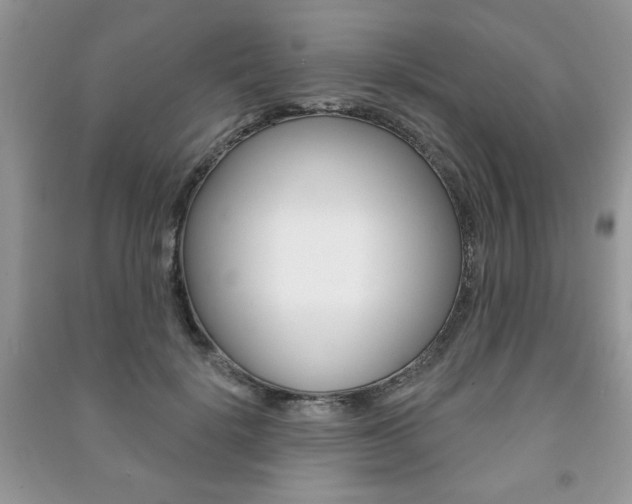 X0000091170652200708091025