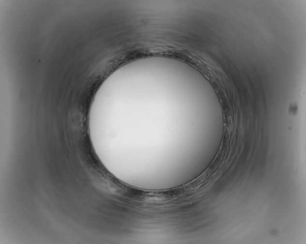 X0000091170653200708091025