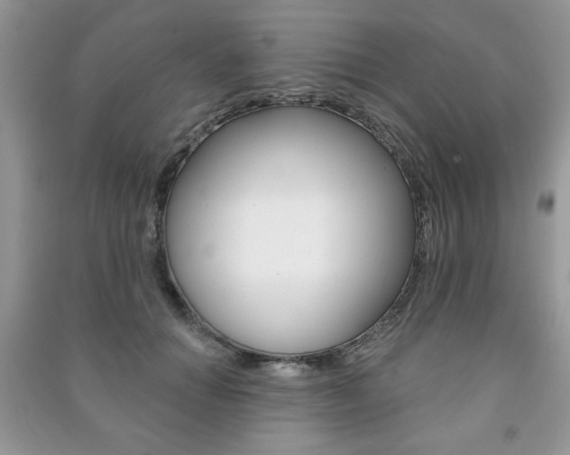 X0000091170654200708091025