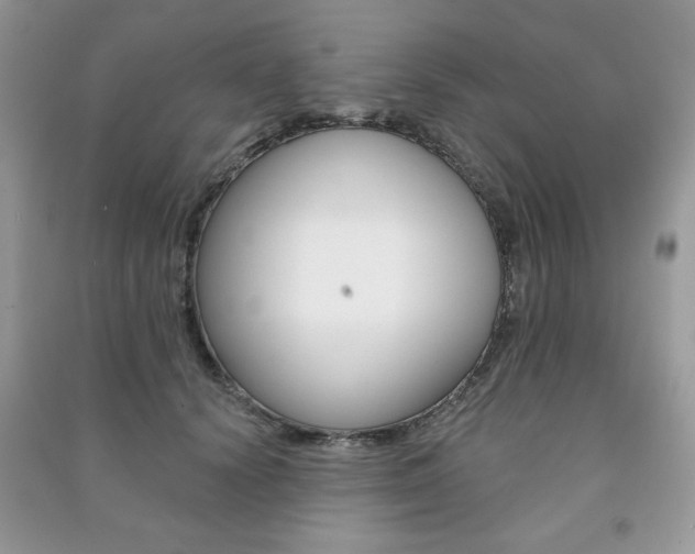 X0000091170656200708091025