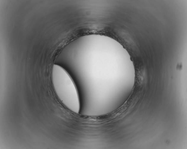 X0000091170657200708091025