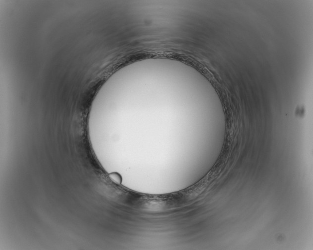 X0000091170658200708091025
