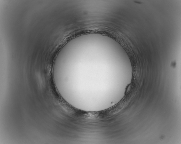 X0000091170660200708091025